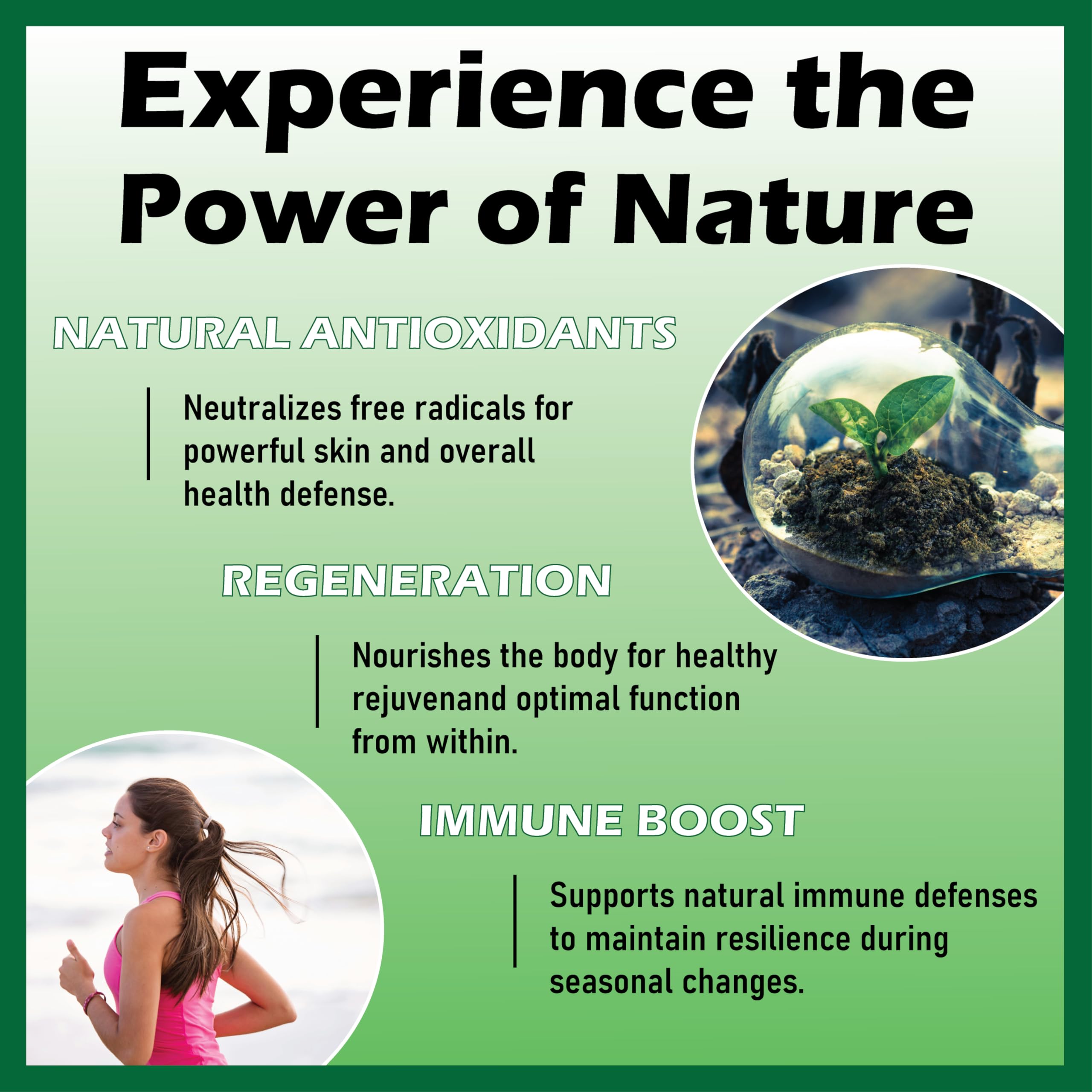 Herbavita Soursop Liquid Drops turmeric section emphasizes antioxidant-friendly daily vigor.
