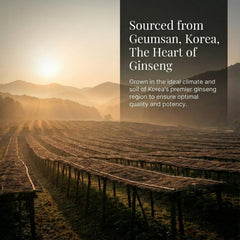 HERBEAT Korean Red Ginseng Prime pear-taste pouch indicating mild flavor.