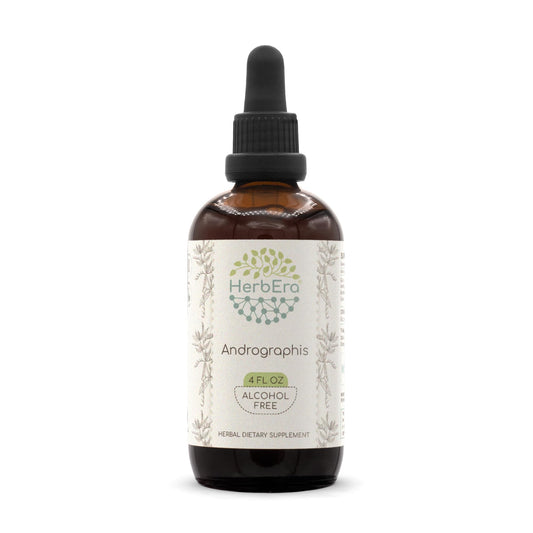 HerbEra Andrographis B120 tincture bottle front for daily herbal routines.