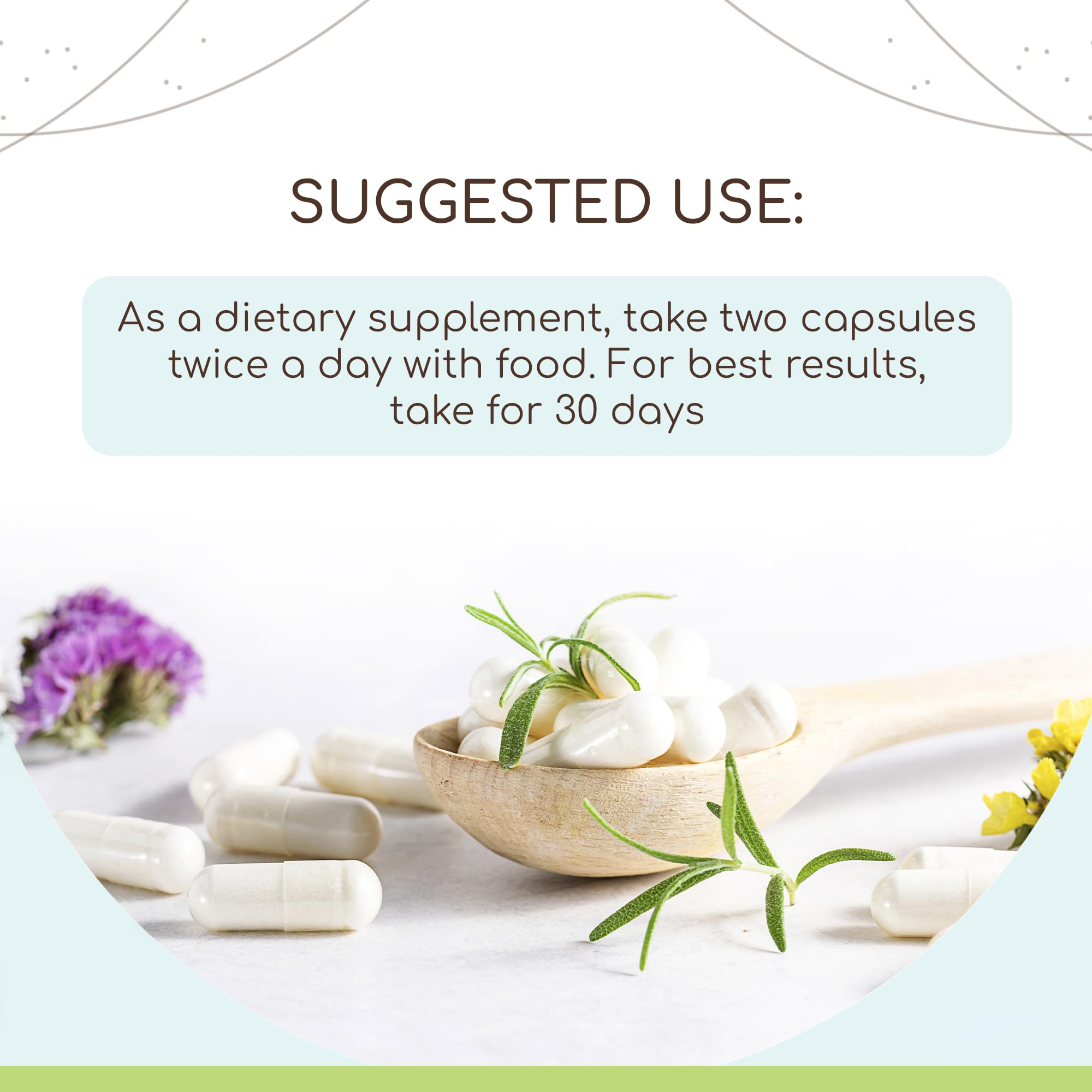 HerbEra Boldo capsules packaging displaying USDA Organic status