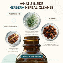 HerbEra Organic Cleanse bottle shows an alcohol-free tincture suited for sensitive systems.