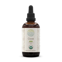 HerbEra Clove B120 tincture bottle showcases organic, alcohol-free extract for daily use.