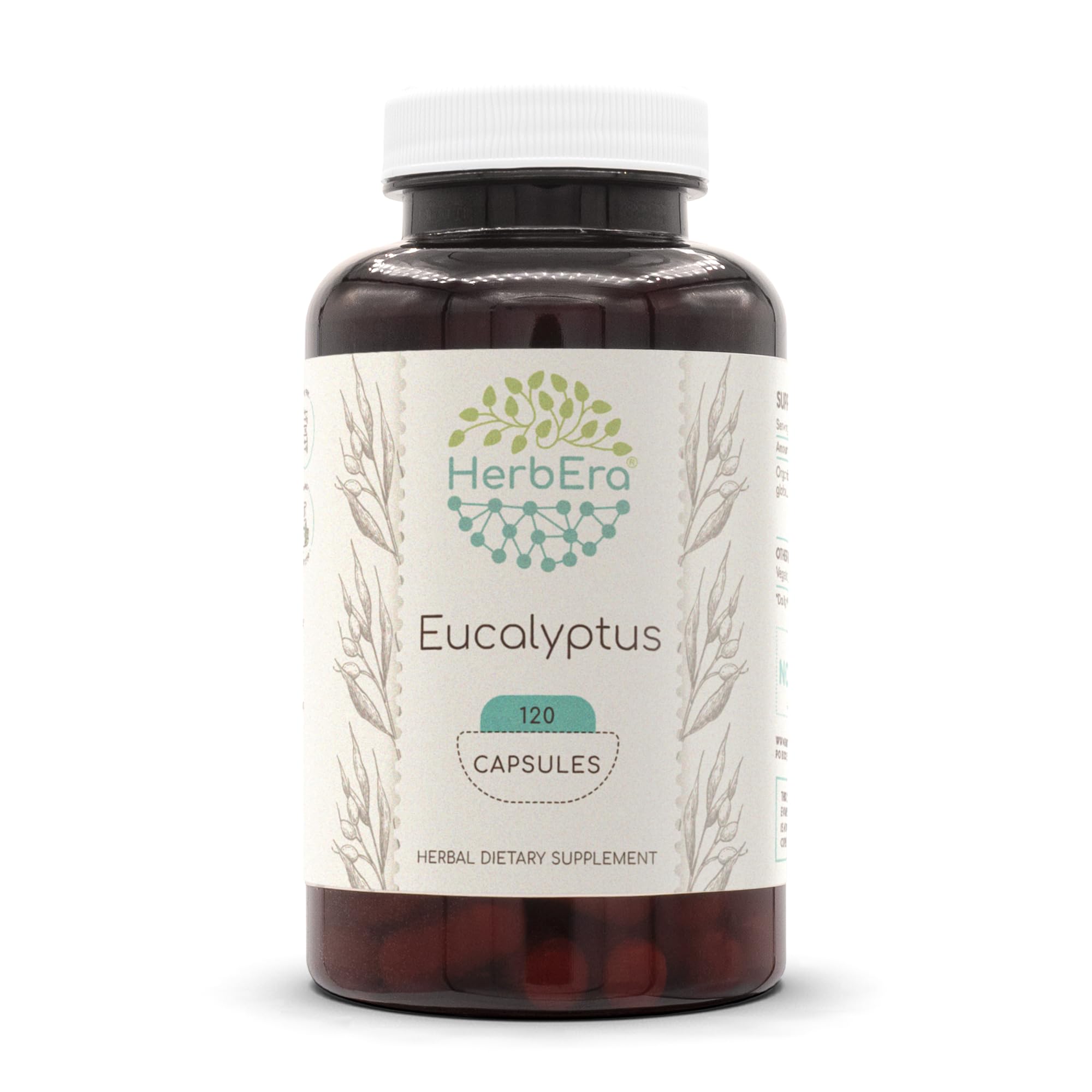 HerbEra Eucalyptus bottle front view for daily natural support.