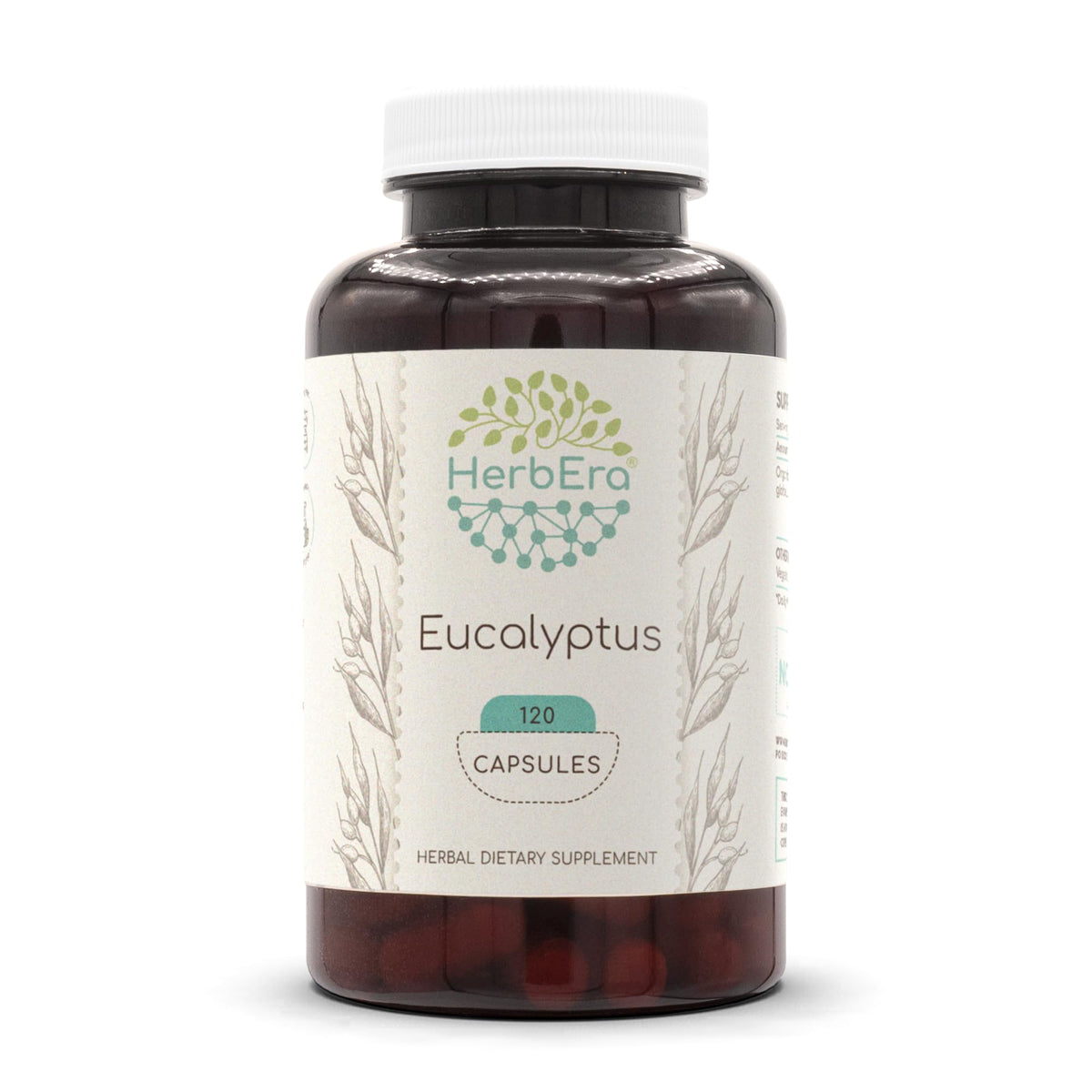 HerbEra Eucalyptus bottle front view for daily natural support.