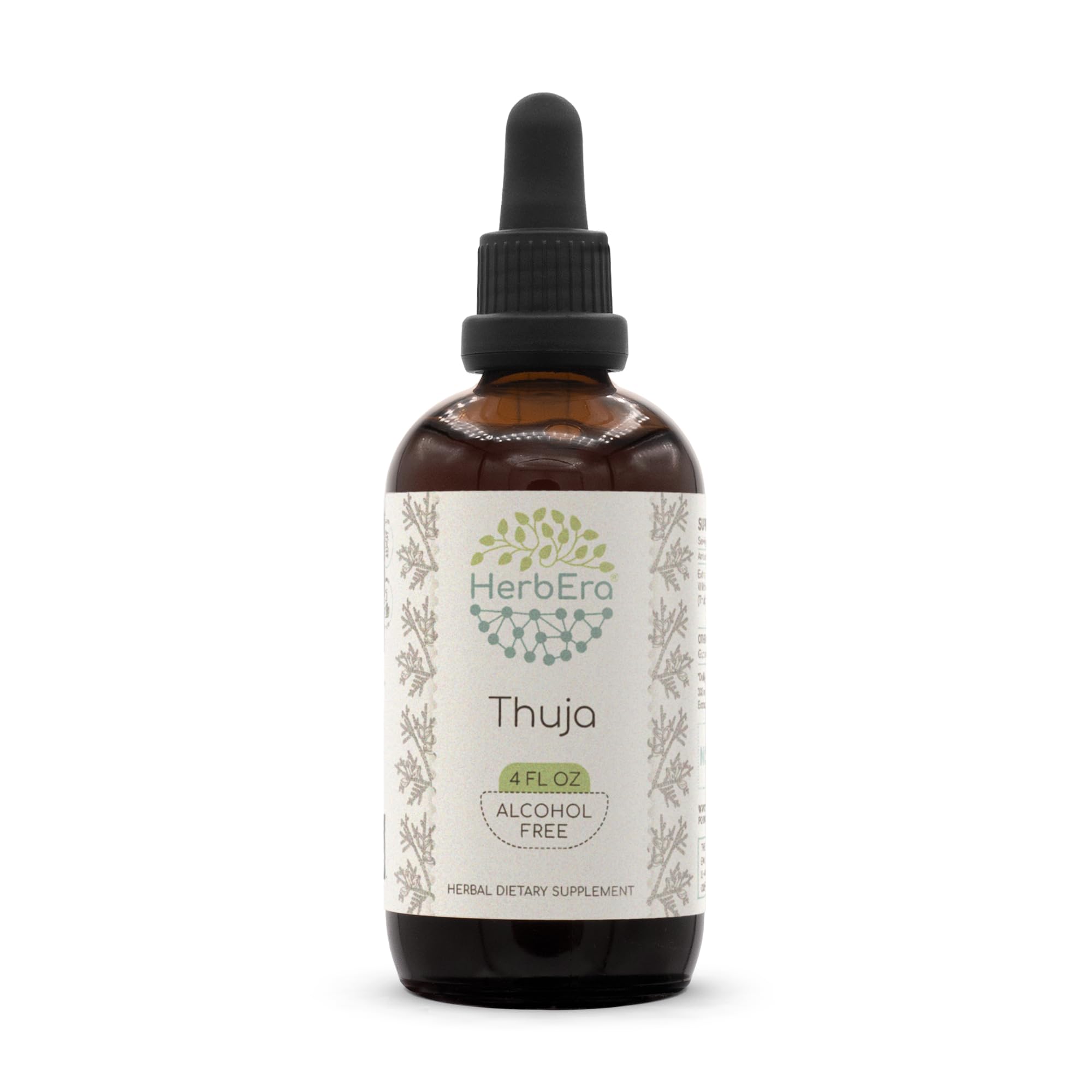 HerbEra Thuja B120 bottle shows alcohol-free tincture for easy daily use.
