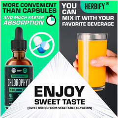 HERBIFY Chlorophyll Drops in a glass of water signals an energy-boosting daily ritual.