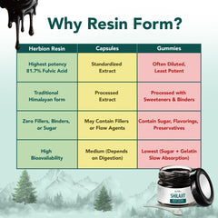 HERBION Naturals Shilajit resin pour action showing pour-ready form.