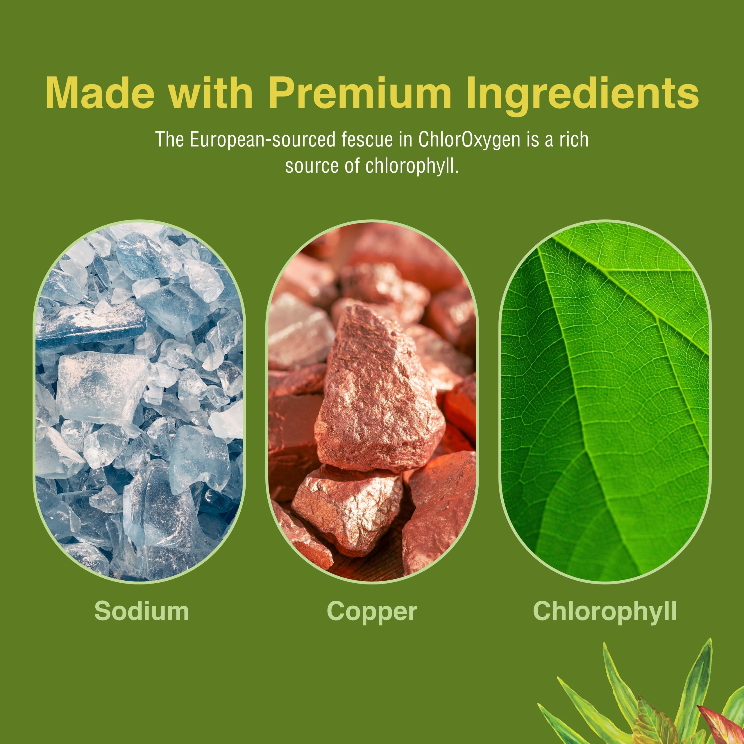 Herbs Etc. ChlorOxygen high-altitude visual hints environment-ready support