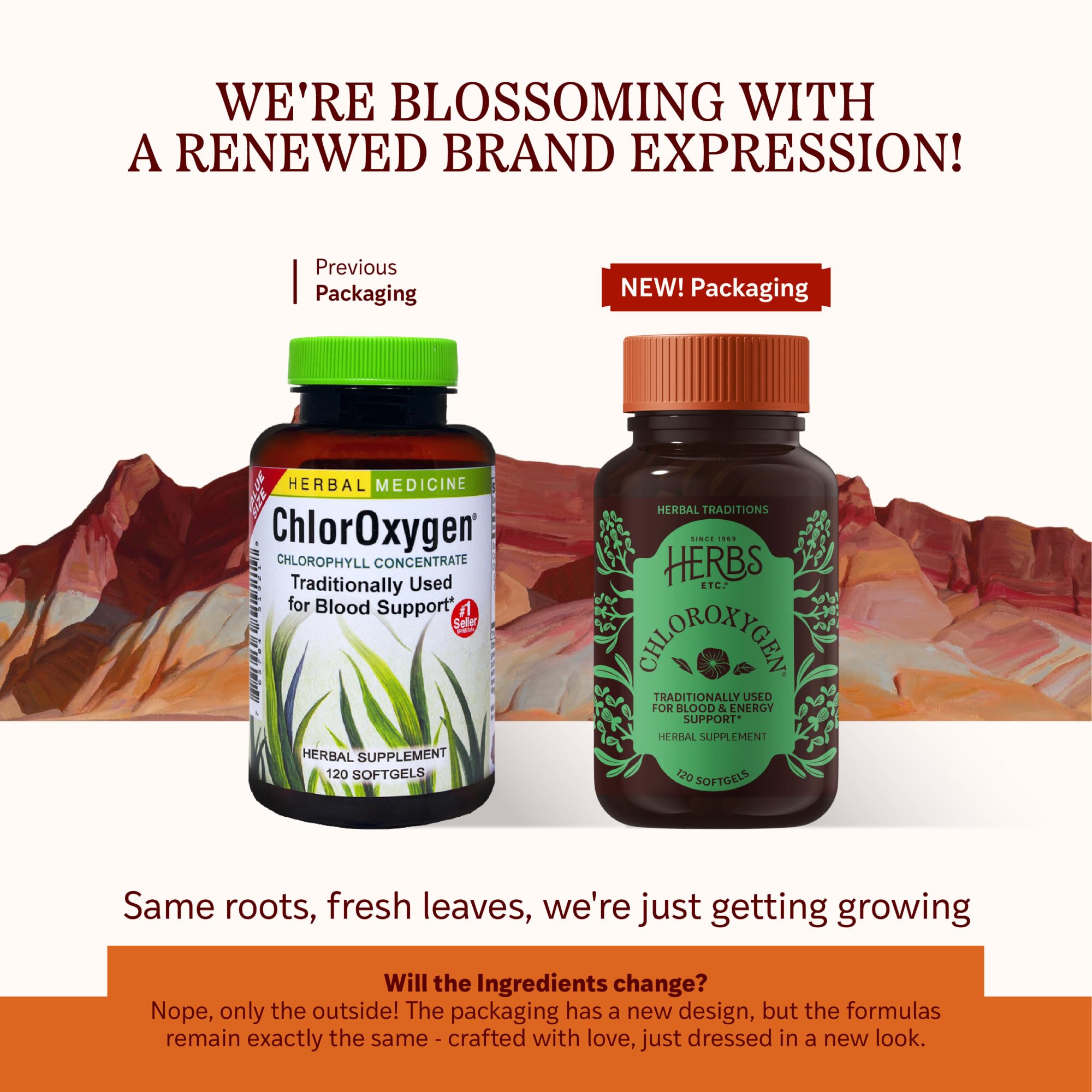 Herbs Etc. ChlorOxygen label closeup shows concentrated chlorophyll and natural origins