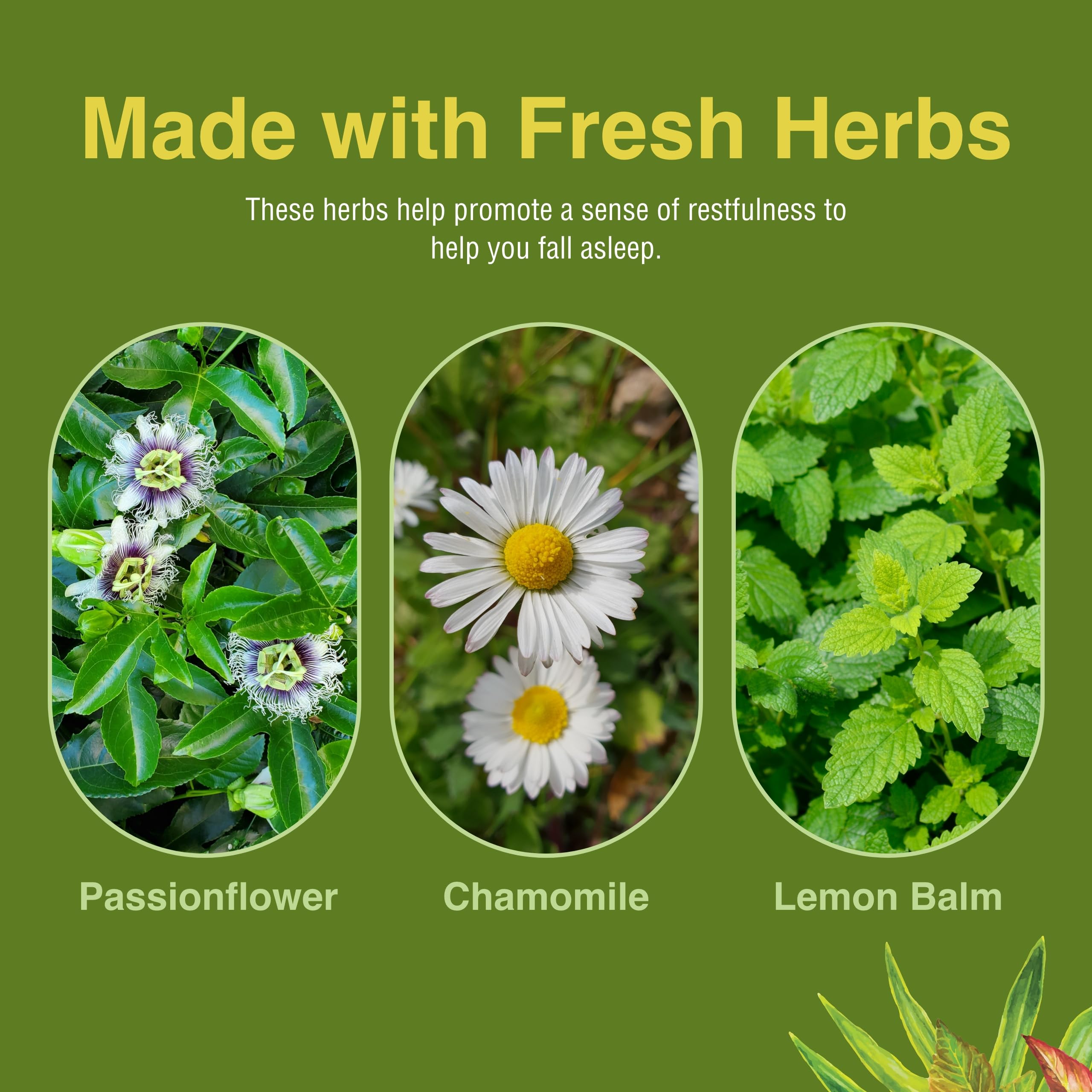 Herbs Etc. Deep Sleep Softgels 2-pack packshot for two bottles