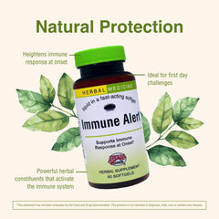 Herbs Etc. Immune Alert ingredients close-up featuring andrographis and echinacea