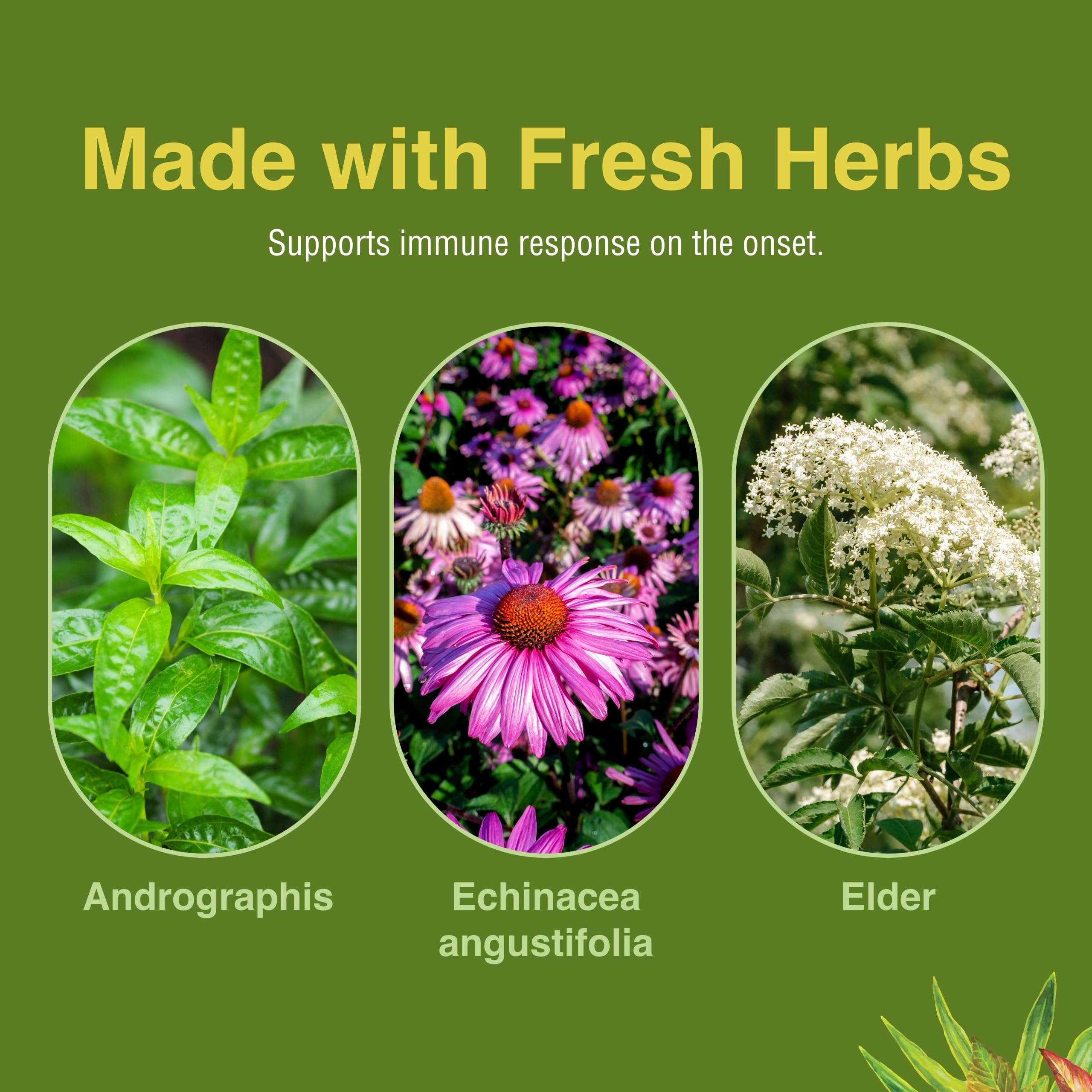 Herbs Etc. Immune Alert packaging box on a clean desk