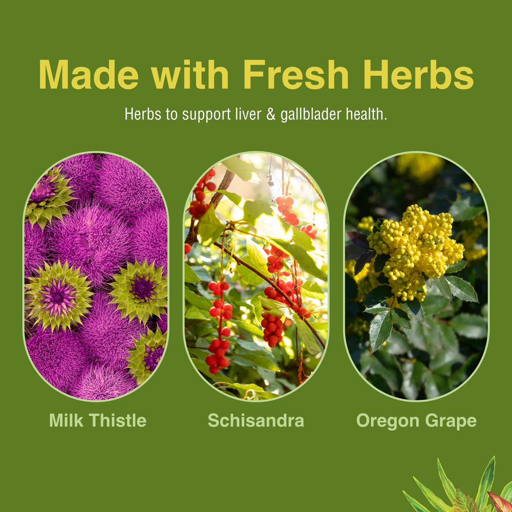 Herbs Etc. Liver Tonic product shot with natural ingredients hinting at liver wellness.