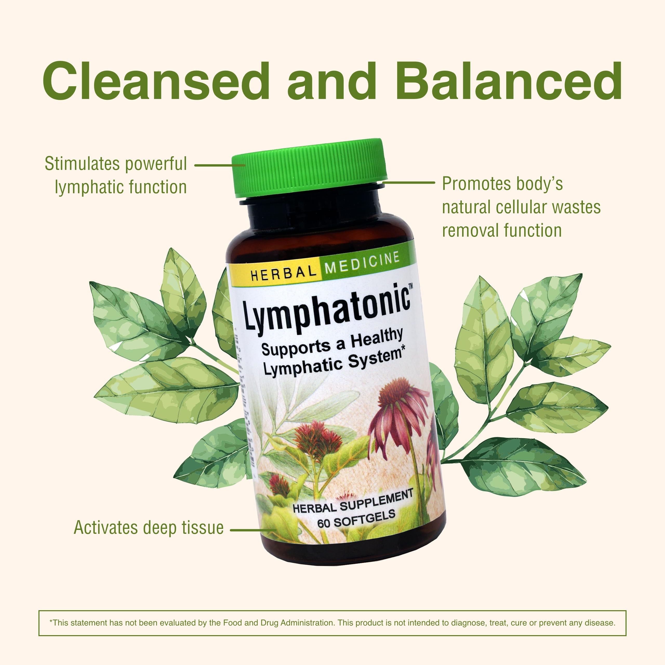 Herbs Etc Lymphatonic ingredients burdock root closeup