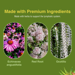Herbs Etc Lymphatonic organic roots display natural blend