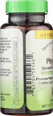 Herbs Etc. Phytocillin packaging on desk ready for respiratory-friendly supplementation