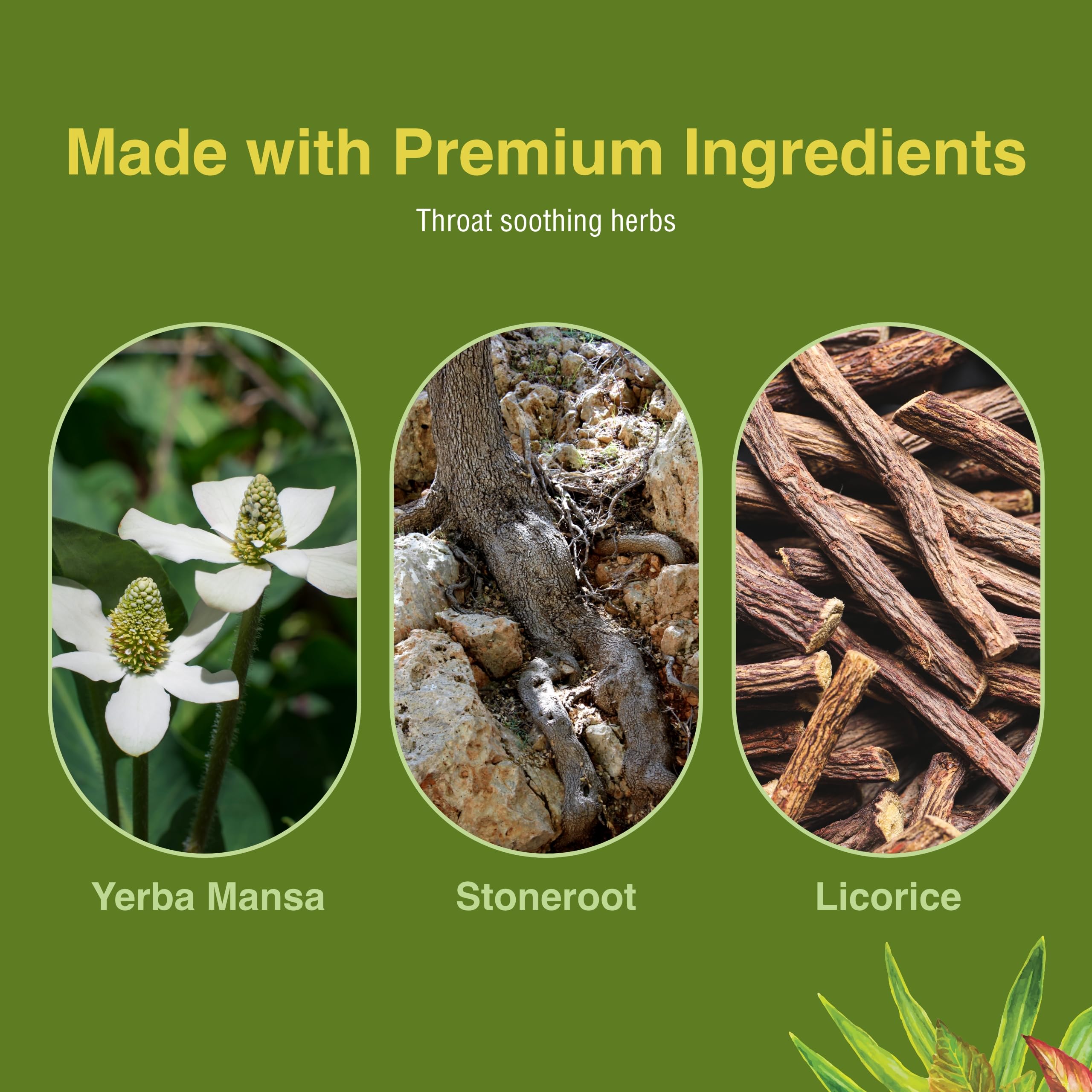 Herbs Etc. Singer's Saving Grace licorice root detail for natural soothing