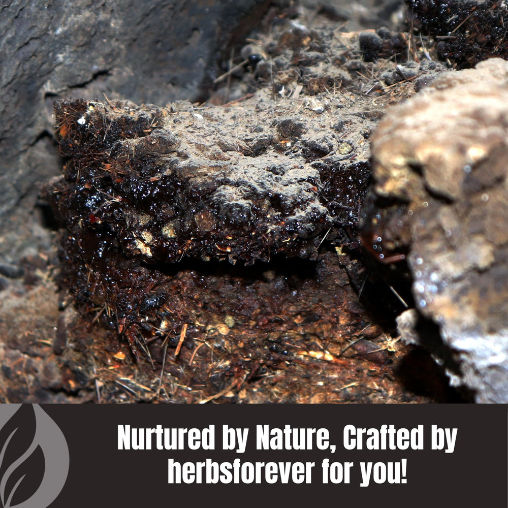 Herbsforever Shilajit powder alt view showing compact packaging for travel.