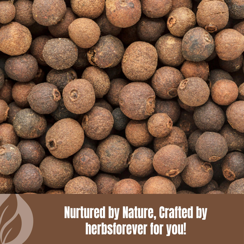 Close-up of Embelia Ribes fruit reflects traditional heritage behind the powder