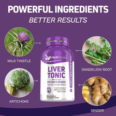 Herbtonics Chicory root imagery highlights herbal detox and digestion aid.