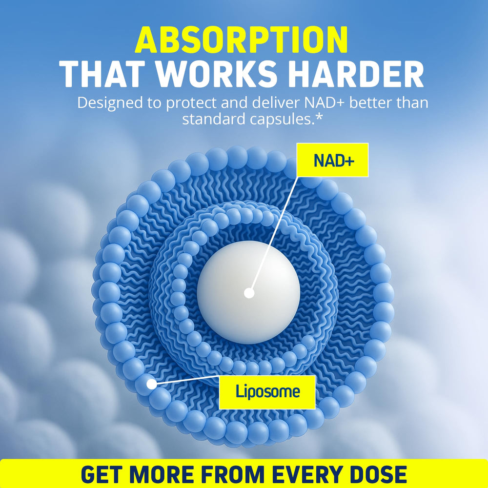 Herbtonics Liposomal NAD+ ingredients highlight sunflower liposomes and purity