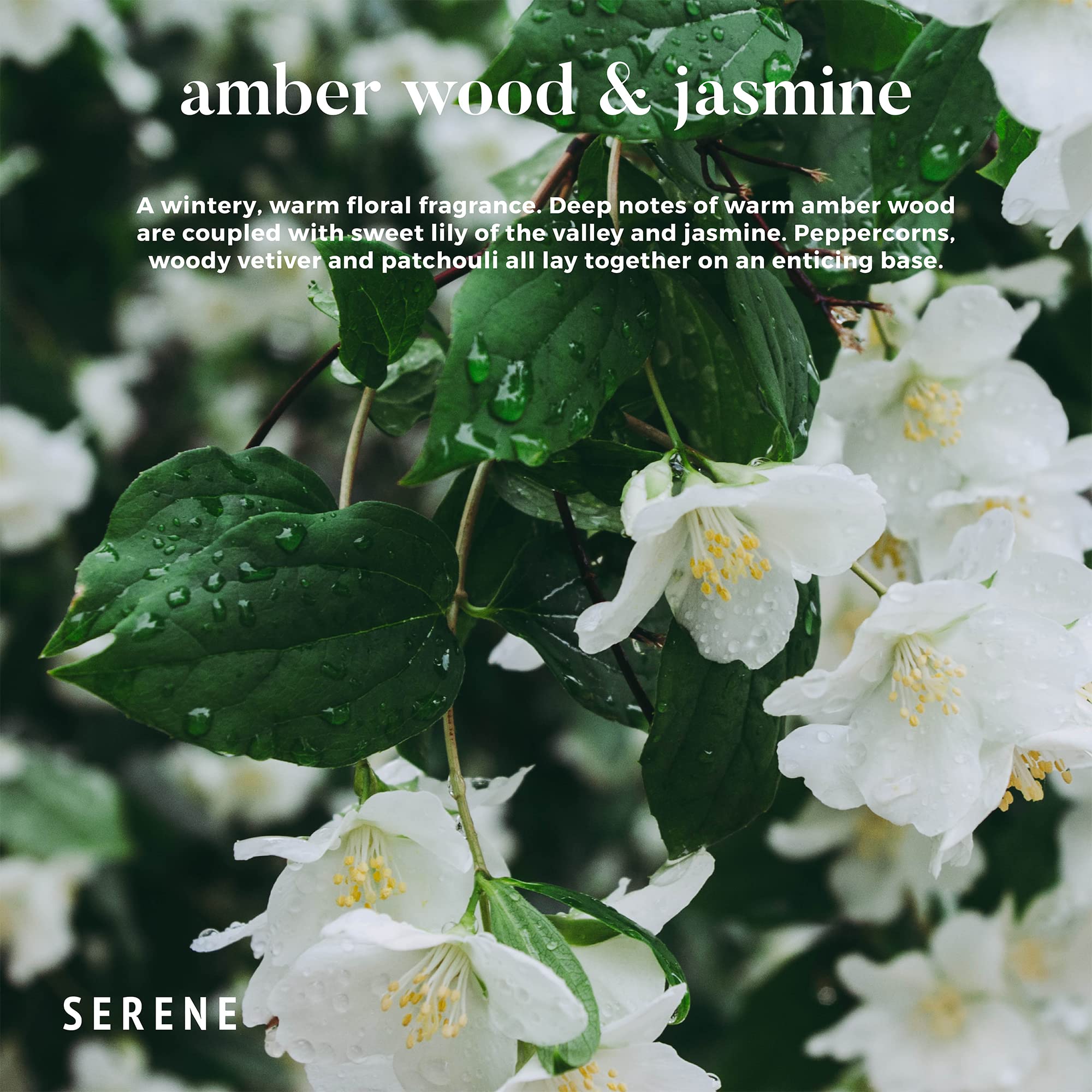 Hidden Label Serene Collection three-wick candle with strong scent throw.