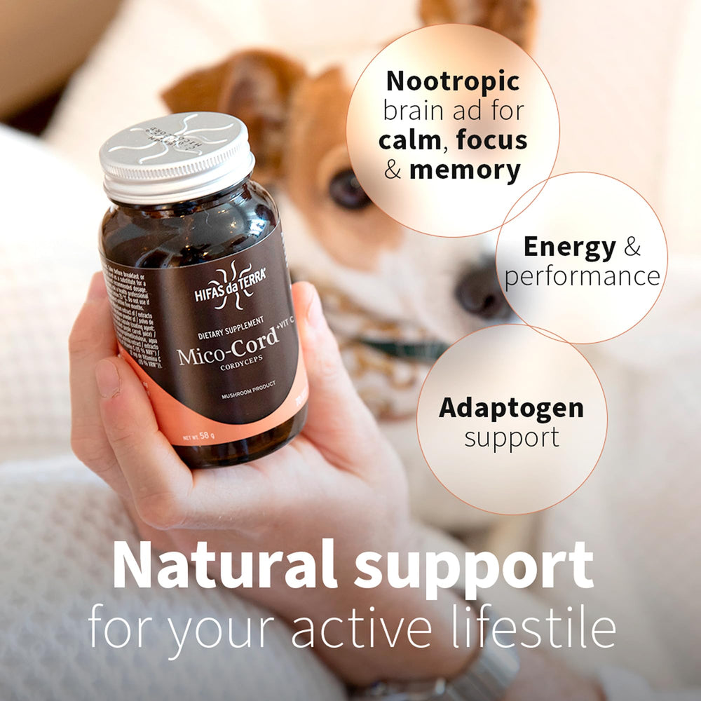 Capsules close-up from Mico-Cord bottle suitable for calm focus routines.