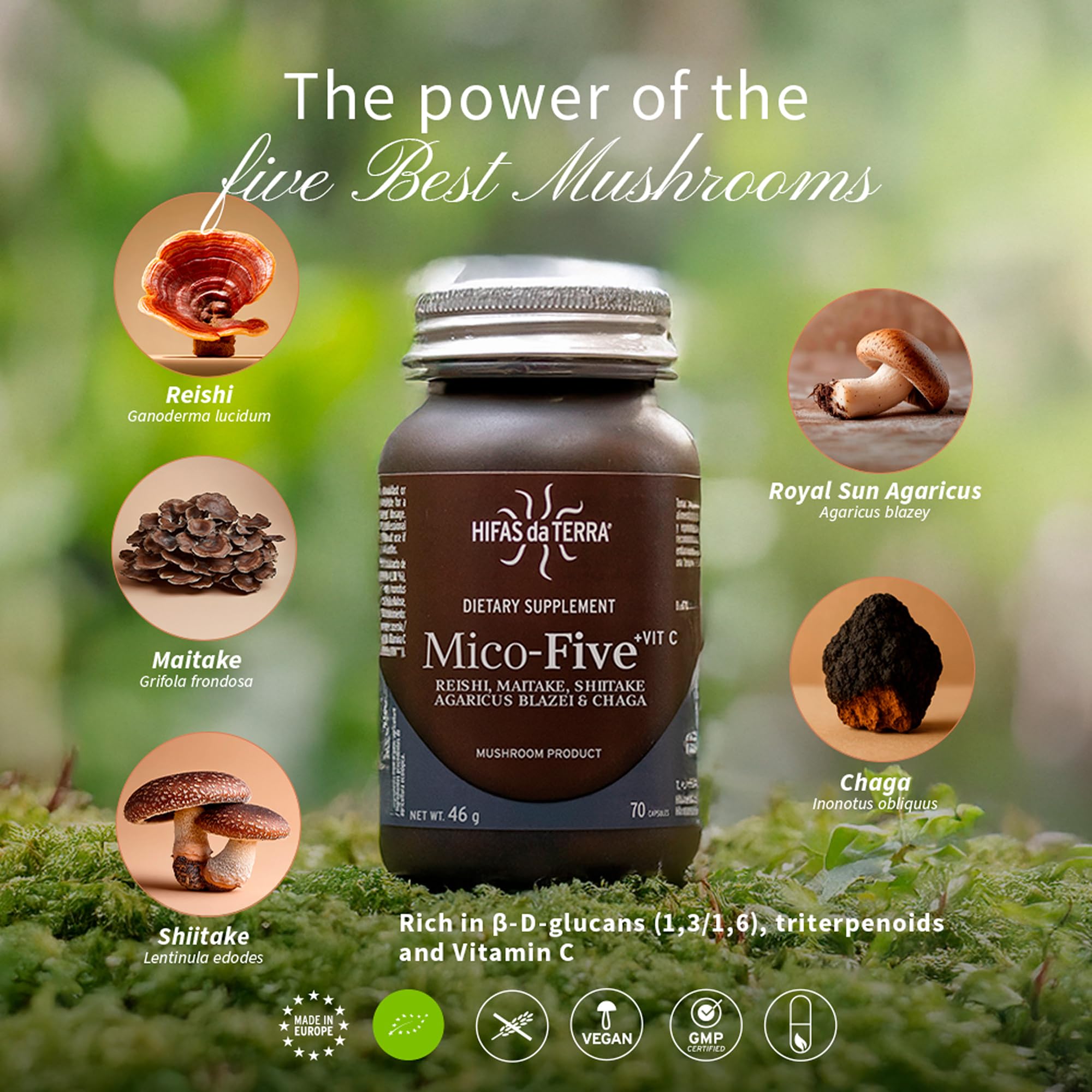 HIFAS DA TE RRA Mico-Five mushroom extracts showcased for potent immune-supporting blend.