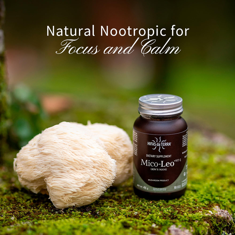 Hifas da Terra Mico-Leo capsules poured for easy daily use