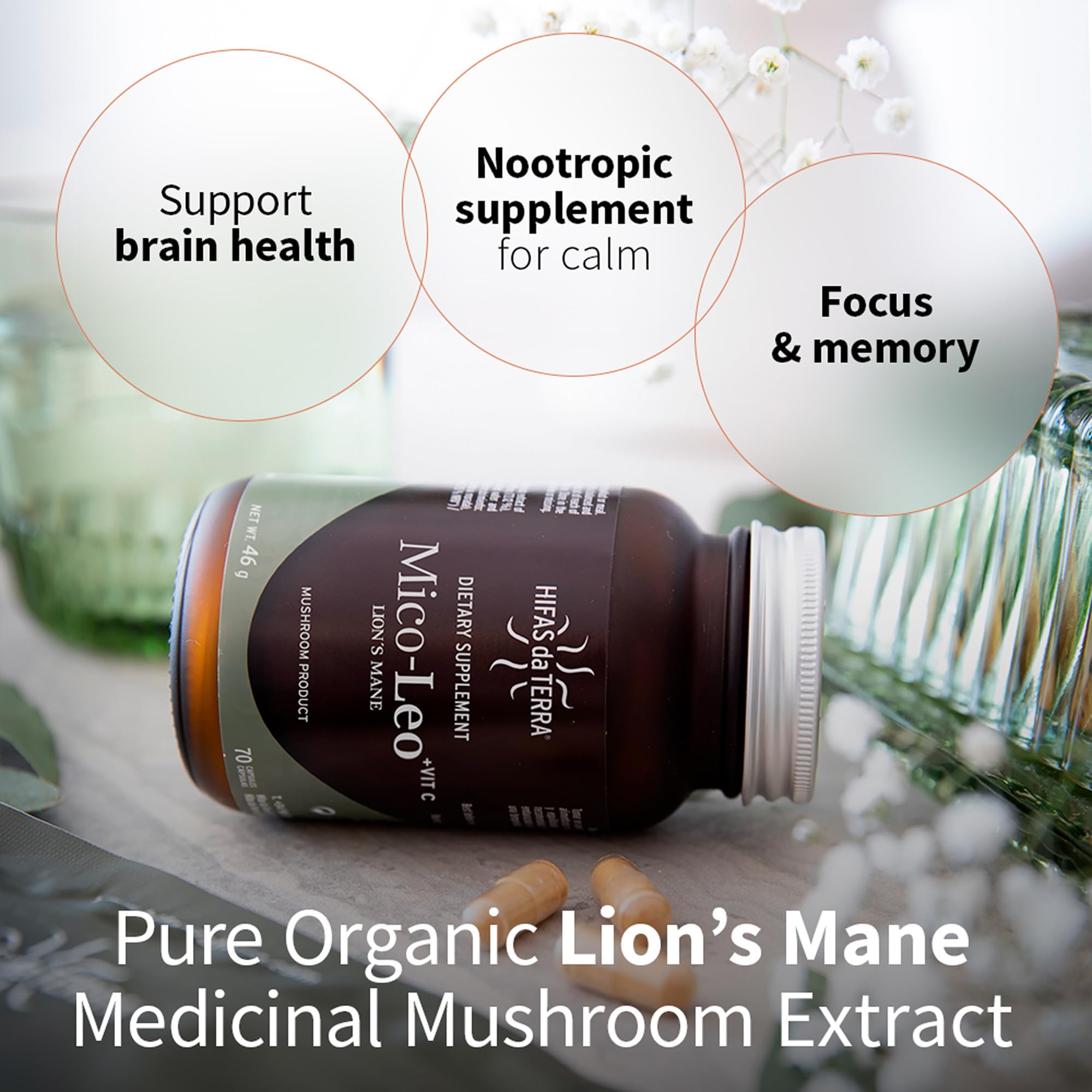 Hifas da Terra Mico-Leo label detail with organic ingredients and potency cues