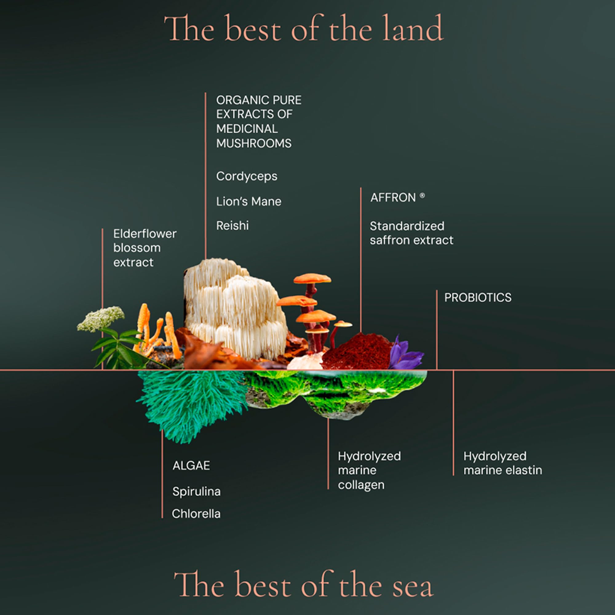 HIFAS DA TERRA ingredients label highlighting key nutrients