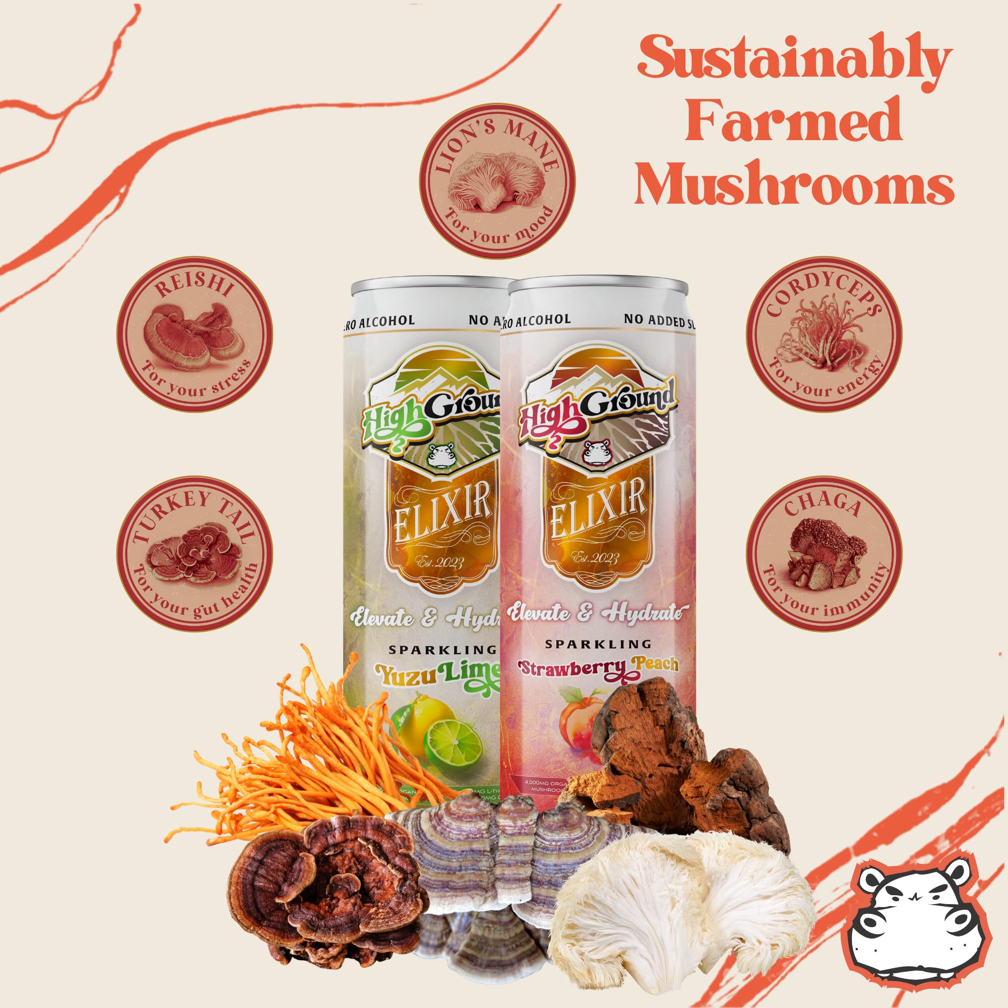 High Ground Elixir Cordyceps can suggests steady energy for the day