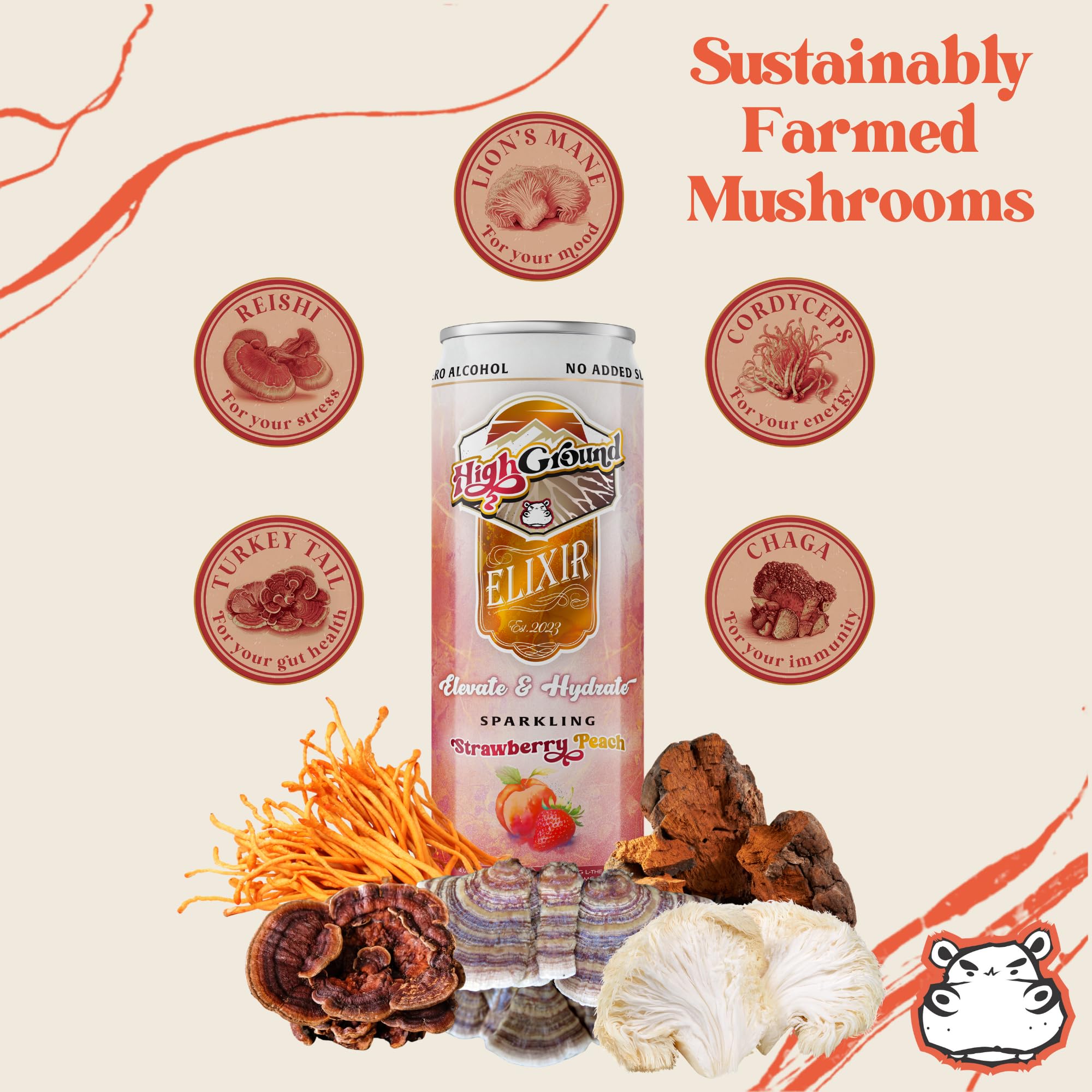 Close-up of High Ground Elixir label showing Lion's Mane and Reishi.