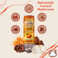 High Ground Elixir ingredients panel showing Lion’s Mane and Reishi for balanced energy
