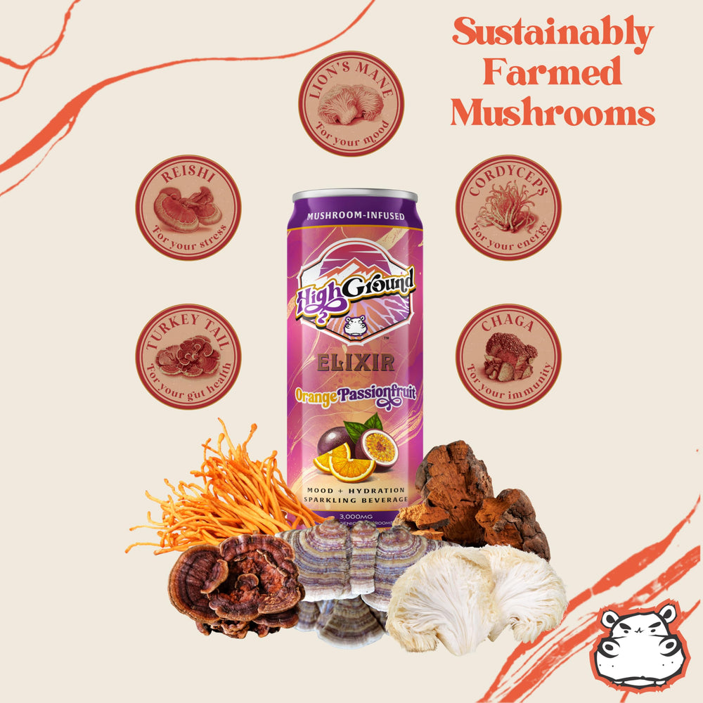 Closeup of label highlighting Lion's Mane and Reishi