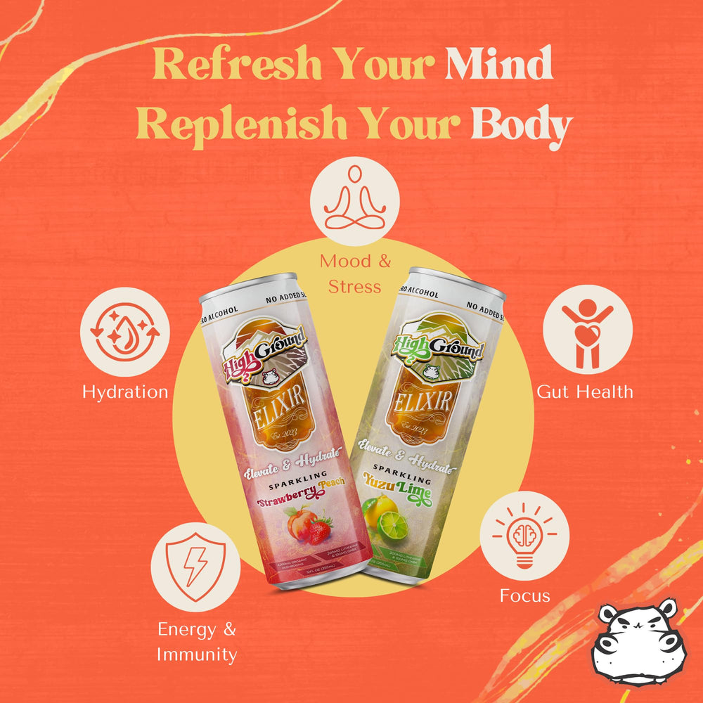 High Ground Elixir Reishi can signals stress relief and calm energy