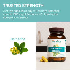 Himalaya Berberine barberry root extract image highlighting natural digestion support.