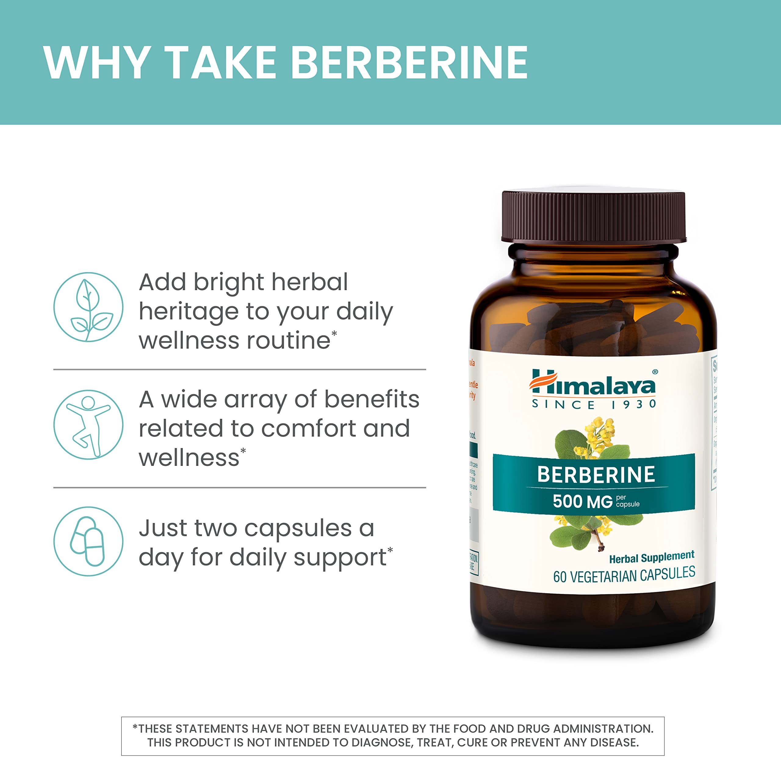 Himalaya Berberine label detail showing Barberry root extract origins for natural wellness.