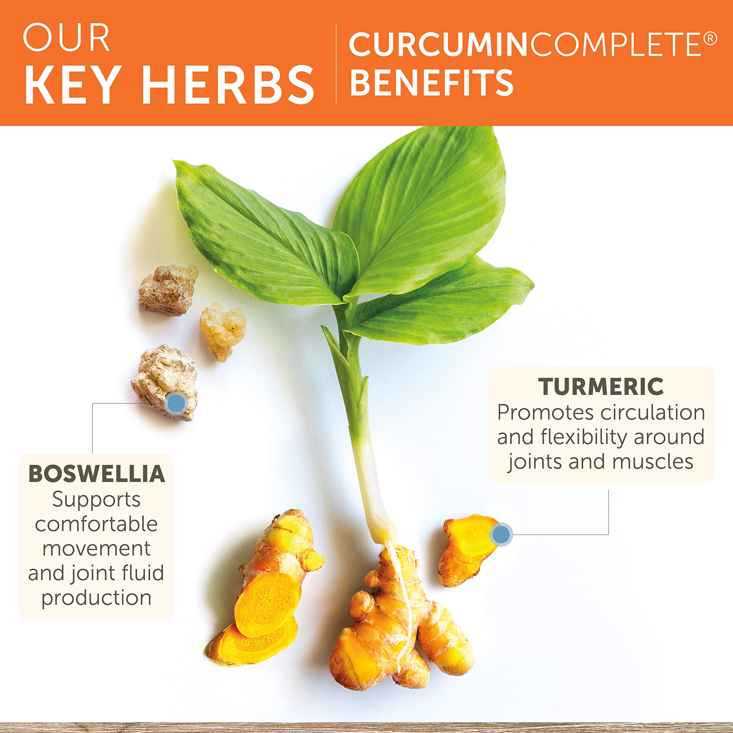 Ayurvedic blend illustration for Himalaya Curcumin Complete with herbs