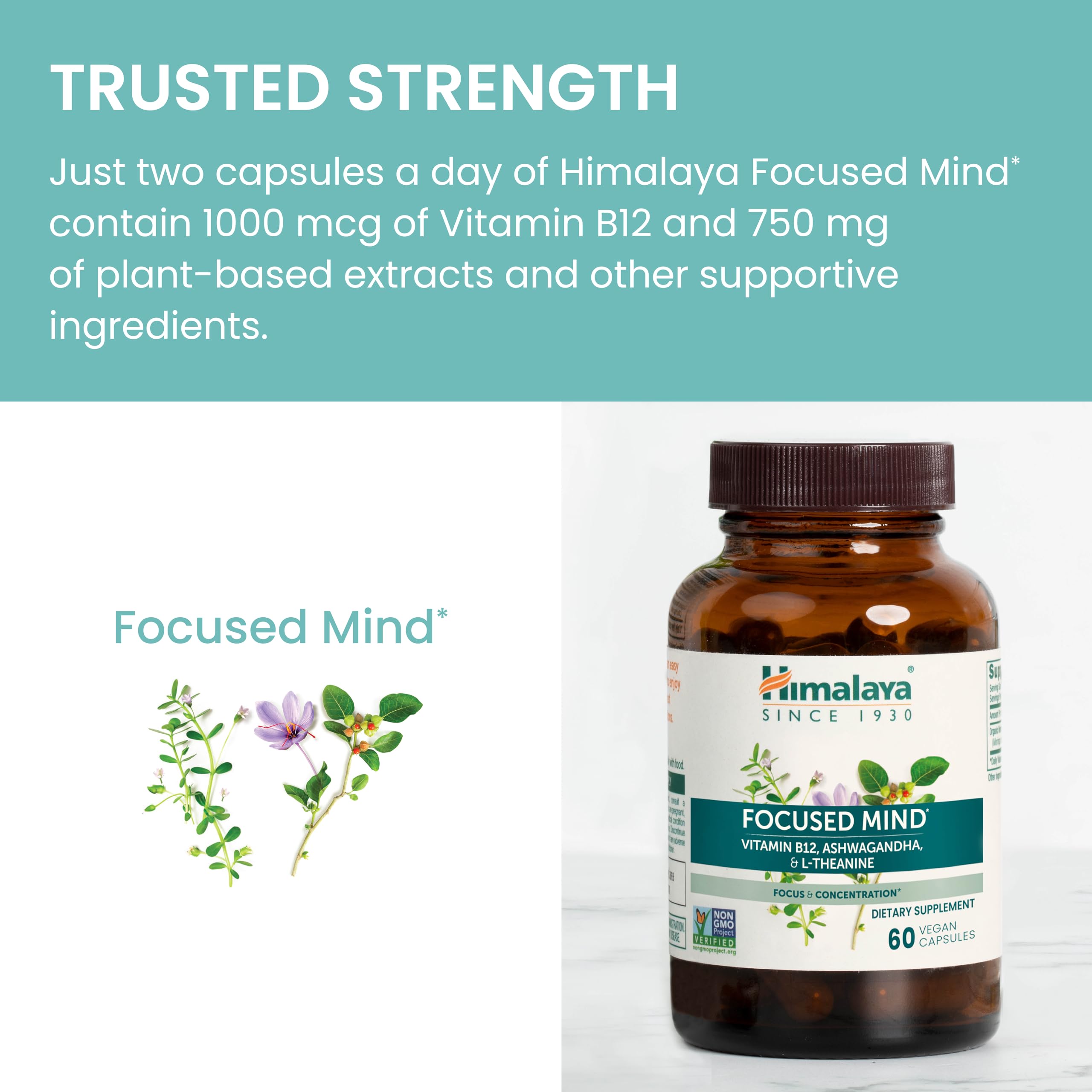 Himalaya Focused Mind bottle close-up showing purity and potency.