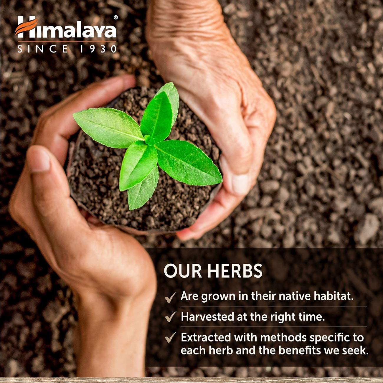 Himalaya HeartCare bottle top closeup emphasizing manufacturing quality.
