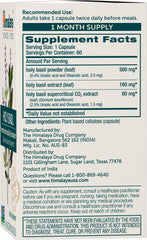 Himalaya Holy Basil capsules close-up illustrating convenient herbal wellness