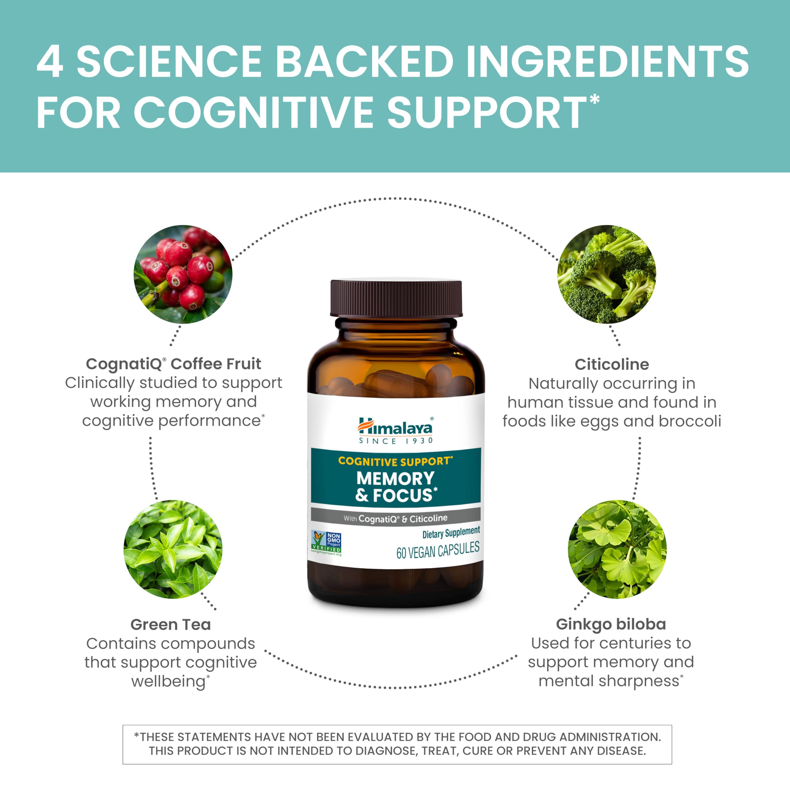 Himalaya Memory & Focus ingredients and science infographic.