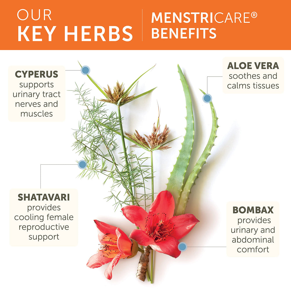 Herbal blend of Shatavari and Triphala used in Menstricare for cycle comfort.
