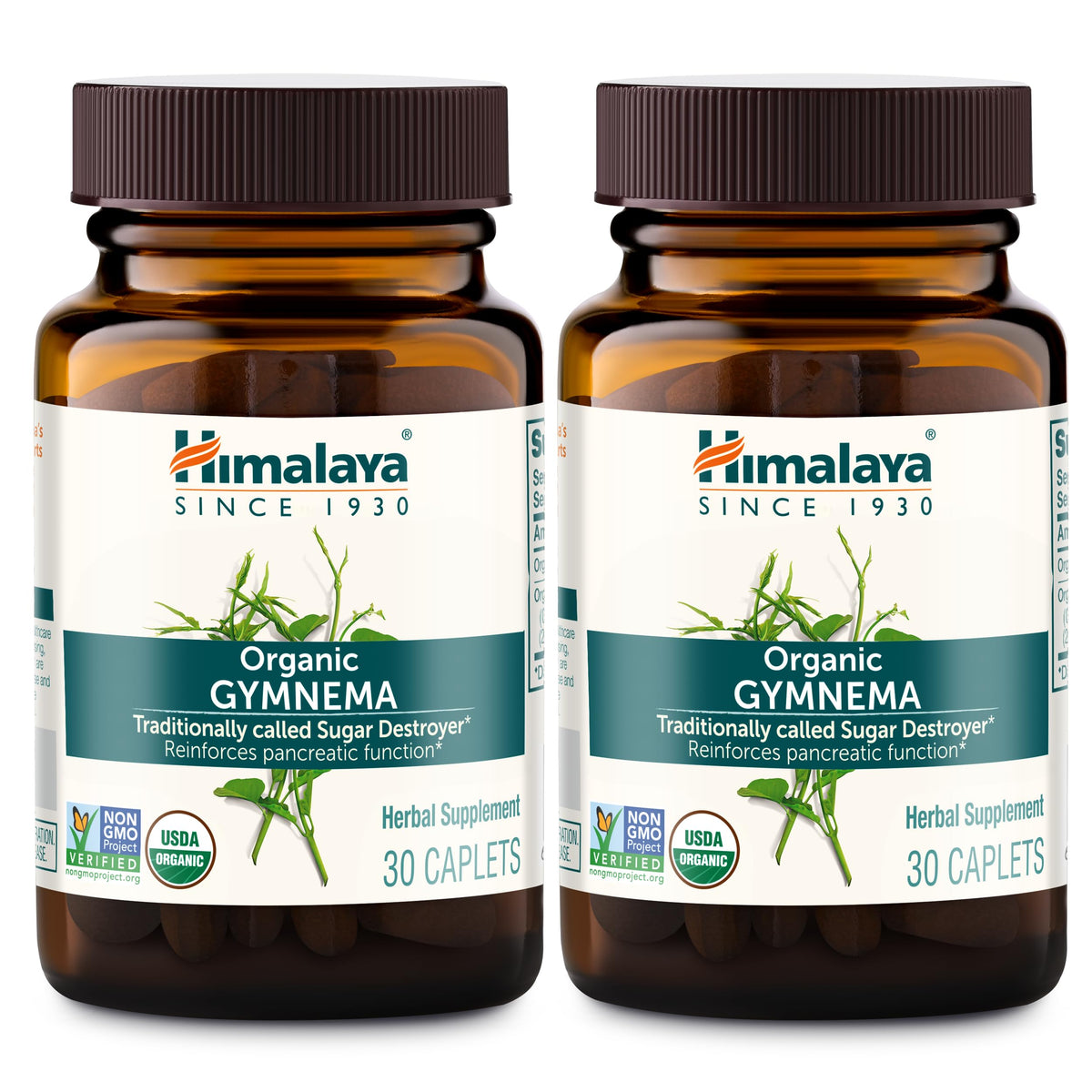 Himalaya Organic Gymnema Sylvestre bottle for convenient daily use supporting carbohydrate metabolism.