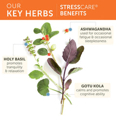 Himalaya StressCare capsules in hand demonstrating convenient vegan stress support on the go.