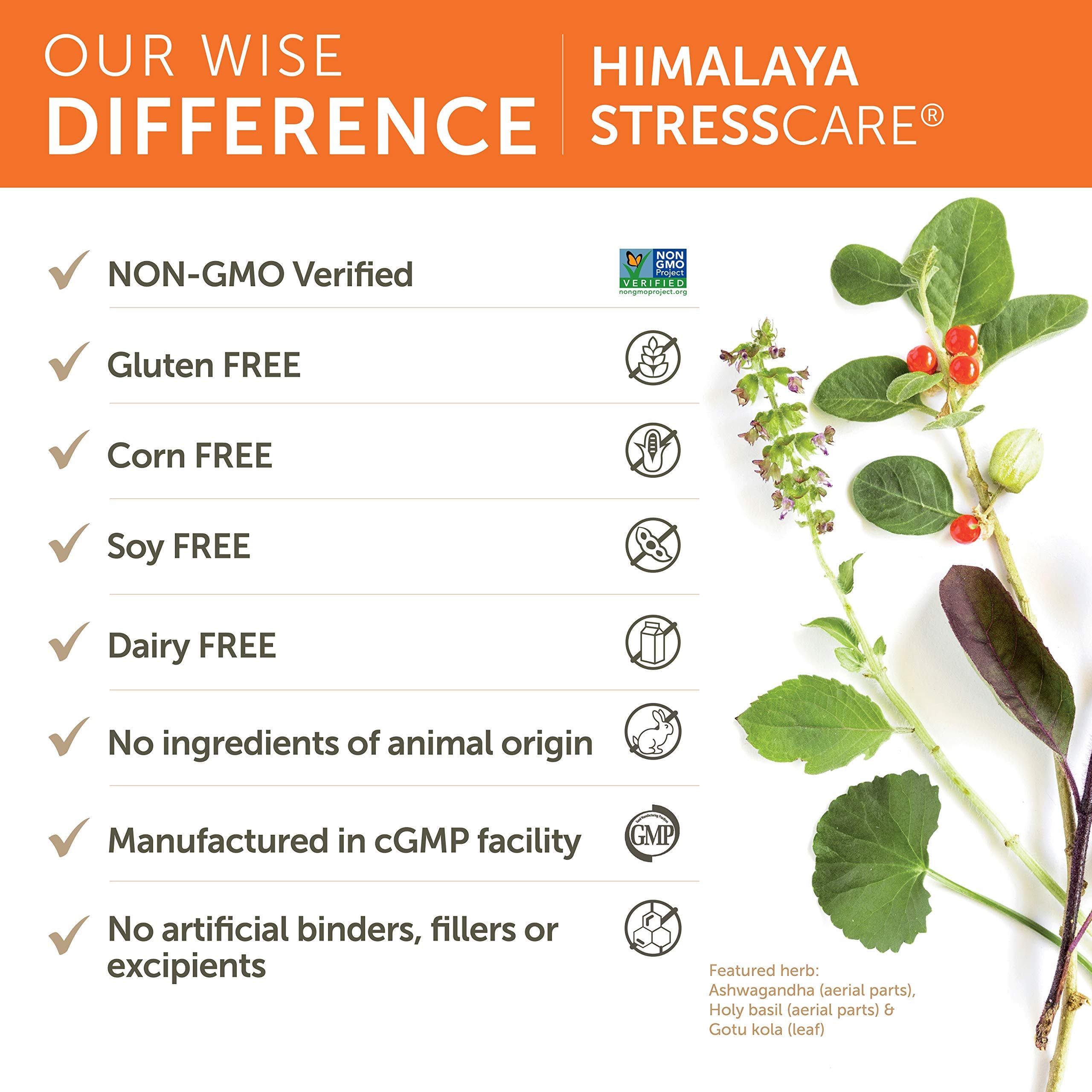 Himalaya StressCare ingredients blend with Ashwagandha and Tulsi for balanced energy.
