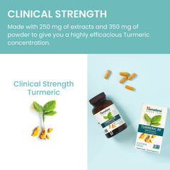 Himalaya Turmeric 95 capsules-in-hand illustrating easy-to-swallow form.
