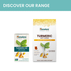 Himalaya Turmeric 95 purity-certification seal signaling quality and safety.