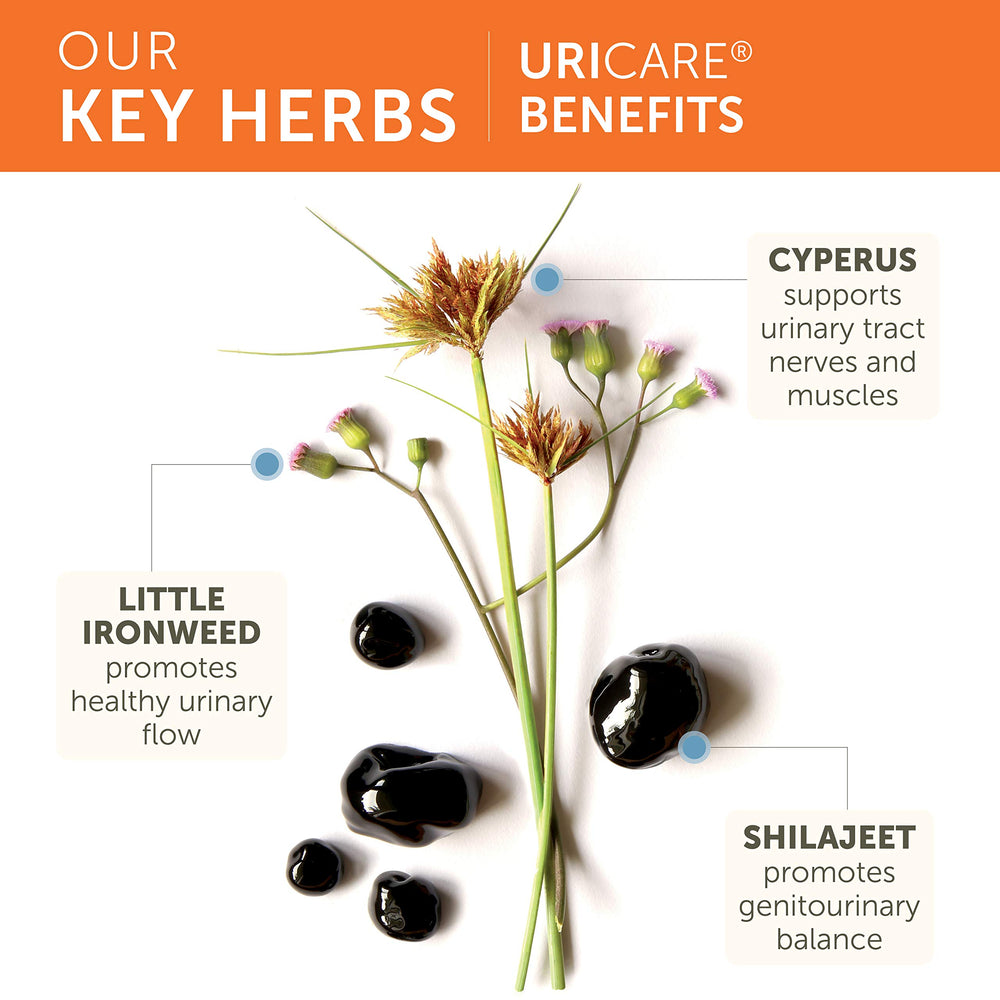 Ayurvedic ingredients chart featuring Cyperus and Shilajeet in UriCare.